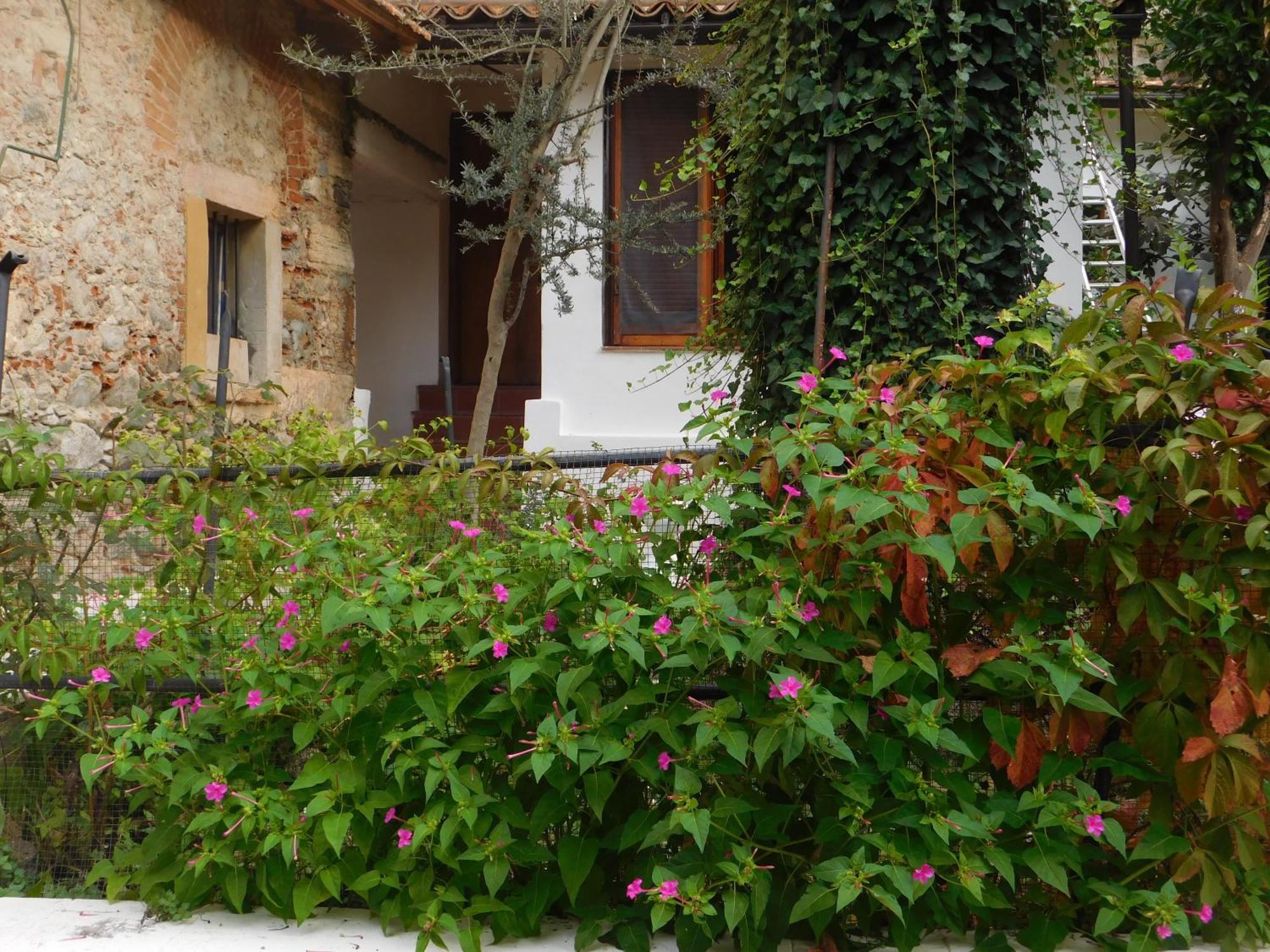 B&B Old Garden Cosenza Buitenkant foto